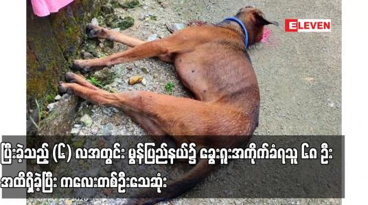 Embedded thumbnail for ပြီးခဲ့သည့် (၆) လအတွင်း မွန်ပြည်နယ်၌ ခွေးရူးအကိုက်ခံရသူ ၆၈ ဦးအထိရှိခဲ့ပြီး ကလေးတစ်ဦးသေဆုံး