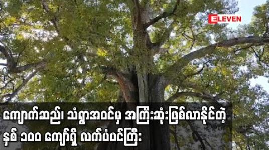 Embedded thumbnail for ကျောက်ဆည်၊ သံရွာအဝင်ရှိ နှစ် ၁၀၀ ကျော်ခန့်သက်တမ်းရှိ လက်ပံပင်ကြီးအားထိန်းသိမ်းရန် သစ်တောဦးစီးဌာနက တိုင်းတာမှု များ ပြုလုပ်