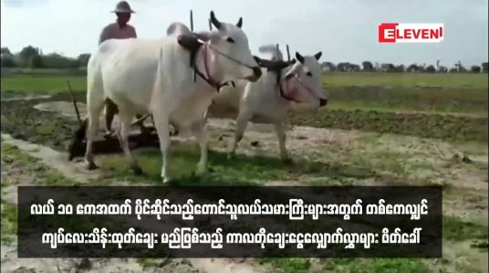 Embedded thumbnail for လယ် ၁၀ ဧကအထက် ပိုင်ဆိုင်သည့်တောင်သူလယ်သမားကြီးများအတွက် တစ်ဧကလျှင် ကျပ်လေးသိန်းထုတ်ချေးမည်ဖြစ်သည့် ကာလတိုချေးငွေလျှောက်လွှာများ ဖိတ်ခေါ်