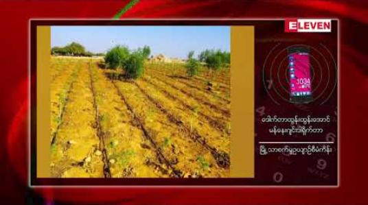 Embedded thumbnail for ဆေးခြောက်စိုက်ခင်းဟု လူမှုကွန်ရက် စာမျက်နှာများတွင် ပျံ့နှံ့နေသော မန္တလေးမြို့သာစက်မှုဥယျာဉ်အနီးရှိ စိုက်ခင်းမှာ အမေရိကန် ကုမ္ပဏီတစ်ခုမှ လာရောက် သုတေသနပြု စိုက်ပျိုးနေသည့် ဆေးဖက်ဝင် လျော်ဖြူ စိုက်ခင်းဖြစ်ကြောင်း သိရ