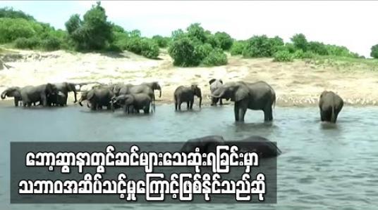 Embedded thumbnail for ဘော့ဆွာနာနိုင်ငံတွင်ဆင်များထူးဆန်းစွာသေဆုံးရခြင်းမှာ သဘာဝအဆိပ်သင့်မှုကြောင့်ဖြစ်နိုင်သည်ဟုတာဝန်ရှိသူပြောကြား(ရုပ်သံ)