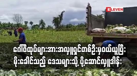 Embedded thumbnail for ဂေါ်ဖီဈေးကွက်ပျက်နေသဖြင့် တောင်သူများမနစ်နာစေရန် ဂေါ်ဖီထုပ်များအား အလှူရှင်တစ်ဦးမှ ဝယ်ယူပြီး မိုးခေါင်သည့် ဒေသများသို့ ပို့ဆောင်လှူဒါန်း 