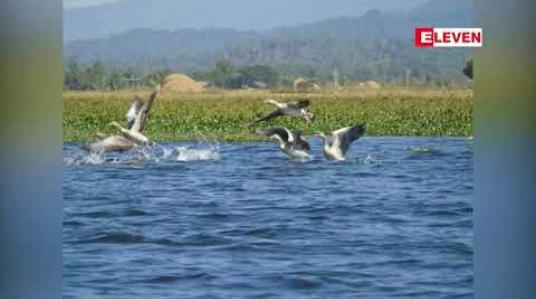 Embedded thumbnail for ကချင်ပြည်နယ်၊အင်းတော်ကြီးအိုင်သို့ ယခုနှစ်အတွက် ဆောင်းခိုငှက်များစတင်ဝင်ရောက်