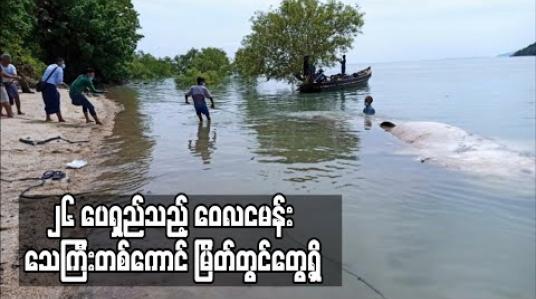 Embedded thumbnail for ၂၆ ပေရှည်သည့် ဝေလငမန်း သေကြီးတစ်ကောင် ကျွန်းစုမြို့နယ်၊ဝဲကျွန်းအနီးတွင်တွေ့ရှိ