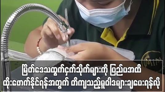 Embedded thumbnail for မြိတ်ဒေသထွက်ငှက်သိုက်များကို ပြည်ပအထိဈေးကွက်ထိုးဖောက်နိုင်ရန်အတွက် တိကျသည့်မူဝါဒများချပေးရန် လိုအပ်နေကြောင်းသိရ 
