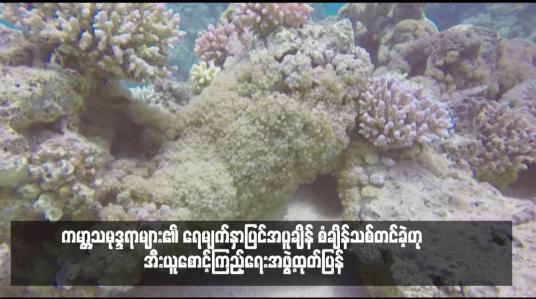 Embedded thumbnail for ကမ္ဘာ့သမုဒ္ဒရာများ၏ ရေမျက်နှာပြင်အပူချိန် စံချိန်သစ်တင်ခဲ့ဟု အီးယူစောင့်ကြည့်ရေးအဖွဲ့ထုတ်ပြန်