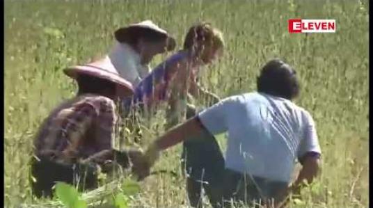 Embedded thumbnail for လက်ပံတောင်းတောင် ကြေးနီစီမံကိန်းတောင်ဘက်တွင် ဒေသခံများ စိုက်ပျိုးထားသည့် သီးနှံစိုက်ခင်း ၁၃၈ ဒသမ ၅၅ ဧက ထိခိုက်ပျက်စီးမှုနှင့် ပတ်သက်၍ ပြည်ထောင်စုအစိုးရထံ တင်ပြထားဟု ဆို 