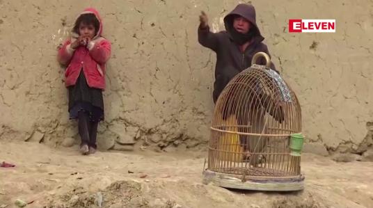 Embedded thumbnail for အာဖဂန်နစ္စတန်တွင် အကြမ်းဖက်မှုများ မြင့်တက်နေ