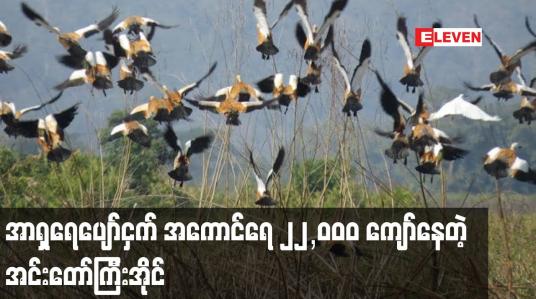 Embedded thumbnail for အင်းတော်ကြီးအိုင်မှာ အာရှရေပျော်ငှက်စာရင်းကောက်ယူချက် အကောင်ရေ ၂၂၀၀၀ ကျော် ရရှိ