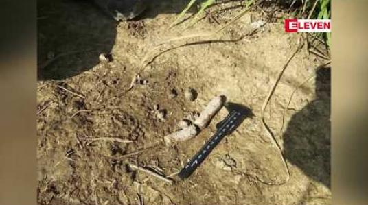 Embedded thumbnail for မျိုးသုဉ်းလုနီးဖြစ်နေသော ရှားပါးမျိုးစိတ်ဖြစ်သည့် ကြောင်တံငါမျိုးစိတ် ဧရာဝတီတိုင်းဒေသကြီးတွင် ကျန်ရှိနေသေးကြောင်း ပထမဆုံးအကြိမ် မှတ်တမ်းရရှိ 