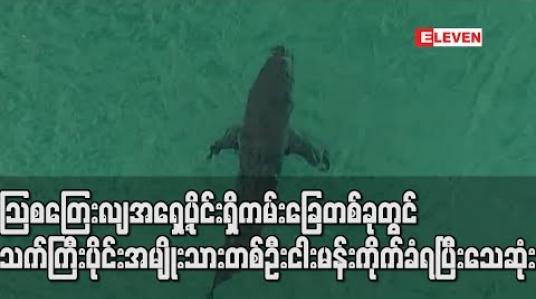 Embedded thumbnail for သြစတြေးလျအရှေ့ပိုင်းရှိကမ်းခြေတစ်ခုတွင် သက်ကြီးပိုင်းအမျိုးသားတစ်ဦးငါးမန်းကိုက်ခံရပြီးသေဆုံး 