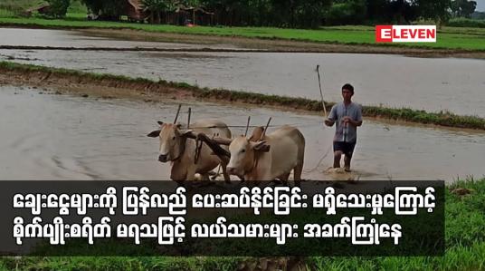 Embedded thumbnail for မိုးစပါး စိုက်ပျိုးစရိတ် ထပ်မံ မရရှိသည့်အတွက် လယ်သမားများ အခက်ကြုံနေ