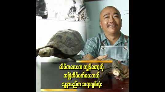 Embedded thumbnail for လိပ်လေးက ကျွန်တော် နဲ့ ကံစပ်ပြီး ရောက်လာပါတယ်။