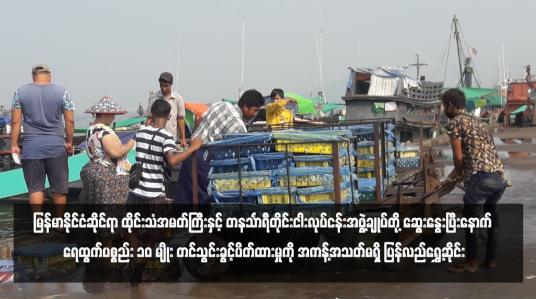 Embedded thumbnail for မြန်မာနိုင်ငံဆိုင်ရာ ထိုင်းသံအမတ်ကြီးနှင့် တနင်္သာရီတိုင်းငါးလုပ်ငန်းအဖွဲ့ချုပ်တို့ ဆွေးနွေးပြီးနောက် ရေထွက်ပစ္စည်း ၁၀ မျိုး တင်သွင်းခွင့်ပိတ်ထားမှုကို အကန့်အသတ်မရှိ ပြန်လည်ရွှေ့ဆိုင်း