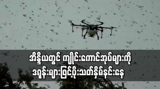 Embedded thumbnail for အိန္ဒိယတွင် ကျိုင်းကောင်အုပ်များကို ဒရုန်းများဖြင့်ပိုးသတ်နှိမ်နင်းနေ 