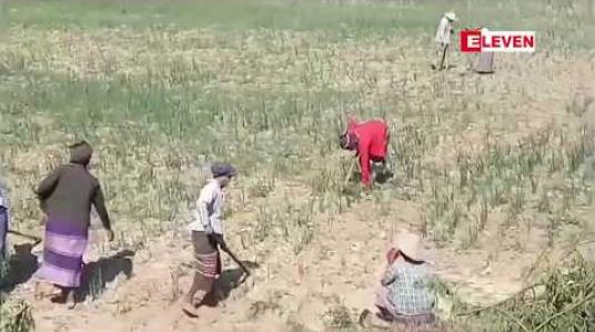 Embedded thumbnail for မန္တလေးတိုင်းအတွင်းရှိ တောင်သူများထံမှ ၂၀၁၈ မိုးရာသီစိုက်စရိတ်ချေးငွေ ကျပ်သန်း ၇၂၇၅၈.၁၅သန်း ပြန်လည်ကောက်ခံ ရရှိခဲ့ 