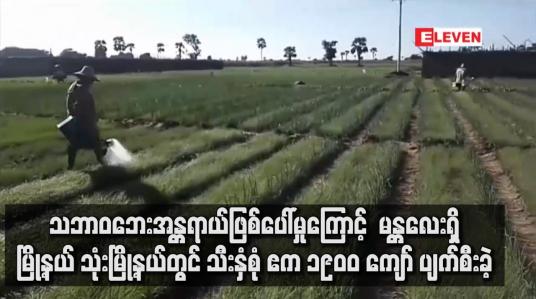 Embedded thumbnail for သဘာဝဘေးအန္တရာယ်ဖြစ်ပေါ်မှုကြောင့် မန္တလေးတိုင်းဒေသကြီးအတွင်း မြို့နယ် သုံးမြို့နယ်တွင် သီးနှံ့စုံ ဧက ၁၉၀၀ ကျော် ပျက်စီးခဲ့