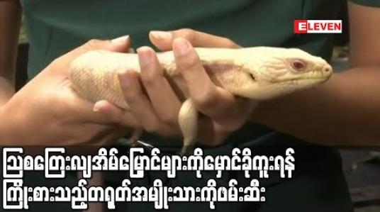 Embedded thumbnail for သြစတြေးလျအိမ်မြှောင်များကို မှောင်ခိုကူးရန်ကြိုးစားသည့် တရုတ်အမျိုးသားအား ဖမ်းဆီး