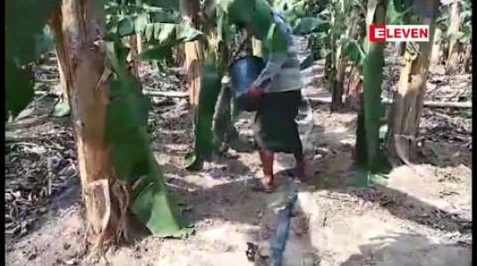 Embedded thumbnail for ကချင်ပြည်နယ်အတွင်းက  စိုက်ပျိုးရေး လုပ်ငန်းများကို  ရင်းနှီးမြုပ်နှံမှု လုပ်ထုံးလုပ်နည်းများအတိုင်း ကိုင်တွယ်မည်ဟု ပြည်နယ်အစိုးရပြော 