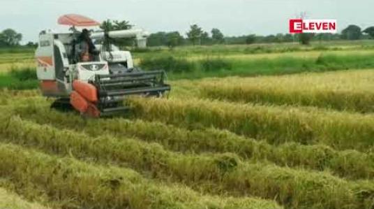 Embedded thumbnail for စပါးတင်းတစ်ရာလျှင် အခြေခံဈေးနှုန်း ကျပ်ငါးသိန်းဖြင့် ဝယ်ယူရန် သတ်မှတ်