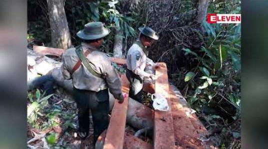 Embedded thumbnail for ရှစ်လတာ ကာလအတွင်း ပုသိမ်ခရိုင်တွင် တရားမဝင် သစ်တန်ချိန်ပေါင်း ၂၅၀၀ ကျော် ဖမ်းဆီးရမိ