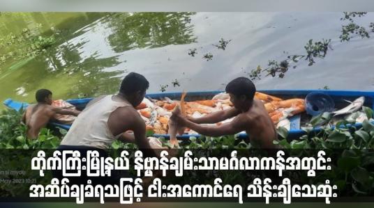 Embedded thumbnail for တိုက်ကြီးမြို့နယ် နိဗ္ဗာန်ချမ်းသာမင်္ဂလာကန်အတွင်း အဆိပ်ချခံရသဖြင့် ငါးအကောင်ရေ သိန်းချီသေဆုံး