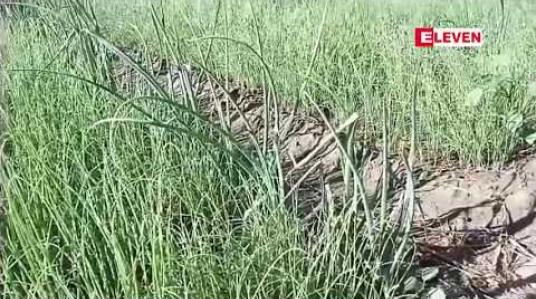 Embedded thumbnail for မန္တလေးတိုင်းအတွင်း ယခုနှစ်ဆောင်းရာသီစိုက်ပျိုးစရိတ်ချေးငွေတွင် သီးနှံသစ် ရှစ်မျိုးအတွက် ထပ်တိုးချေးပေးသွားရန်ရှိပြီး ကျပ်သန်းပေါင်း ၂၉၃၈၃.၈၀ ချေးငွေချပေးရန် လျာထား (ရုပ်သံ)