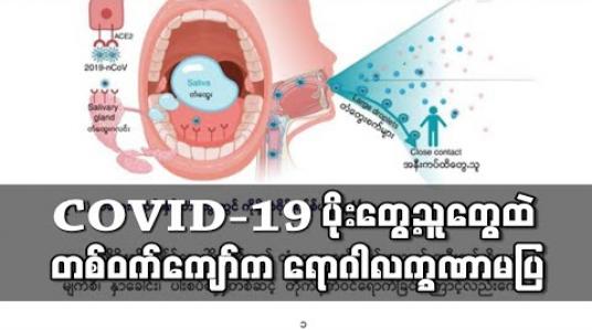 Embedded thumbnail for ဧပြီ ၂၇ ရက်ထိ COVID- 19 ပိုး တွေ့ရှိခဲ့သူ ၁၄၆ ဦးထဲမှ ၈၃ ဦးမှာ ရောဂါလက္ခဏာမပြဘဲ ပိုးရှိနေခြင်းဖြစ်