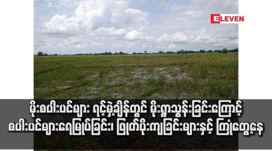 Embedded thumbnail for မိုးစပါးပင်များ ရင့်မှဲ့ချိန်တွင် မိုးရွာသွန်းခြင်းကြောင့် စပါးပင်များရေမြုပ်ခြင်း၊ ဖြုတ်ပိုးကျခြင်းများနှင့် ကြုံတွေ့နေ