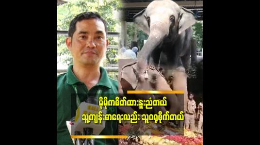 Embedded thumbnail for မိုမို က ပျော်နေတယ်. တစ်ချို့ ပြောစကား တွေဆို သူနားလည်