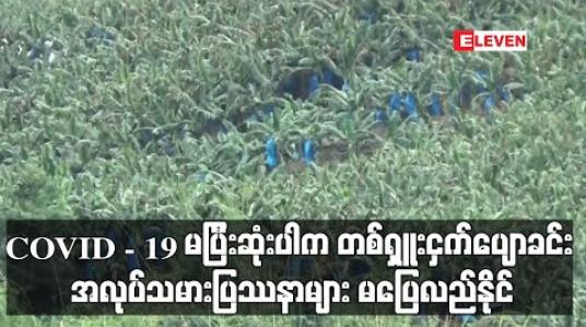 Embedded thumbnail for COVID - 19 မပြီးဆုံးပါက တစ်ရှူးငှက်ပျောခင်း အလုပ်သမားပြဿနာများ မပြေလည်နိုင်သေးဟု ကချင်ပြည်နယ်အစိုးရအဖွဲ့ တာဝန်ရှိသူ ပြောကြား (ရုပ်သံ) 