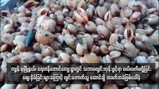 Embedded thumbnail for ကျွန်းစုမြို့နယ်၊ ရေကန်တောင်ကျေးရွာတွင် သဘာဝဂျင်းကုန်းဖွင့်ရာ ဝယ်လက်မရှိခြင်း၊ဈေးနှိမ်ခြင်းများကြောင့် ဂျင်းကောက်သူ ထောင်ချီ အခက်အခဲဖြစ်ပေါ်ခဲ့