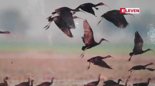 Embedded thumbnail for မိုးယွန်းကြီးအင်းဘေးမဲ့တောတွင် တရားမဝင်ငါးဖမ်းသူနှင့်ဘီလားဖမ်းသူ ၂၀၀ မှ ၃ဝဝကြားရှိ၍ လုံခြုံရေးအင်အား နှင့်မမျှဖြစ််နေဟု အင်းတာဝန်ရှိသူ ပြော