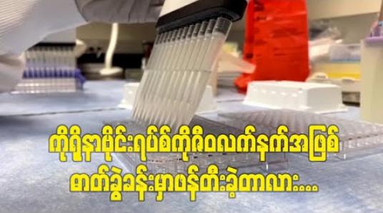 Embedded thumbnail for ကိုရိုနာဗိုင်းရပ်စ်ကိုဇီဝလက်နက်အဖြစ်ဓာတ်ခွဲခန်းမှာဖန်တီးခဲ့တာလား