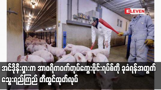 Embedded thumbnail for အင်ဒိုနီးရှားက အာဖရိကဝက်တုပ်ကွေးဗိုင်းရပ်စ်ကို ခုခံရန်အတွက် သွေးရည်ကြည် တီထွင်ထုတ်လုပ်