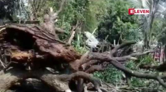 Embedded thumbnail for စစ်ကိုင်းမြို့နယ်၊ကင်းကျေးရွာတွင် လေပြင်းတိုက်ခတ်မှု ဖြစ်ပွားခဲ့ပြီး နေအိမ်တစ်လုံးပေါ် သစ်ကိုင်းကျိုးကျ၍ ကလေးငယ်နှစ်ဦး ပြင်းထန်စွာ ဒဏ်ရာရရှိ  