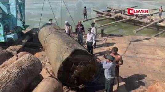 Embedded thumbnail for ကသာမြို့နယ်၊ ဧရာဝတီမြစ်အတွင်း တရားမဝင်သစ်ဖောင်များဖြင့် မျှောလာသည့် ကညင်သစ်တန်ချိန် (၅၀၀) ကျော်နှင့်အတူ တရားခံသုံးဦးအားဖမ်းဆီးရမိ 