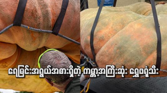 Embedded thumbnail for ရေမြင်းအရွယ်အစားရှိတဲ့ ကမ္ဘာ့အကြီးဆုံး ရွှေဖရုံသီး