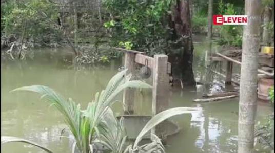 Embedded thumbnail for တနင်္သာရီမြစ်ရေ အန္တရာယ်ရေမှတ်အောက်သို့ ပြန်လည်ကျဆင်းနေပြီဖြစ်၍ ကားလမ်းများသွားလာနိုင်ပြီဖြစ်သလို စာသင်ကျောင်း ၃၀ ကျော်လည်း ပြန်လည်ဖွင့်လှစ်