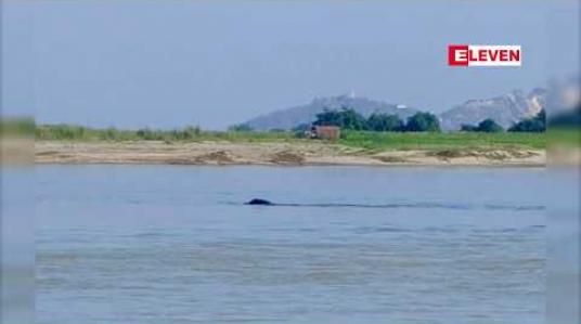 Embedded thumbnail for လင်းပိုင်ထိန်းသိမ်းရေး ဧရိယာအတွင်းရှိ အင်ဒေါင်းကျေးရွာတွင် လင်းပိုင်ကြည့်ဧည့်သည်များအတွက် ညအိပ် တည်းခိုဆောင်များ စတင်ဆောက်လုပ် 