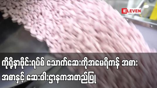 Embedded thumbnail for Pfizer ထုတ်ကိုရိုနာဗိုင်းရပ်စ် သောက်ဆေးကို အမေရိကန် အစားအစာနှင့် ဆေးဝါးဌာနကအတည်ပြု