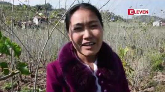 Embedded thumbnail for ရာသီချိန်ကုန်ဆုံးပြီးမှသာ စျေးနှုန်းတက်မှုကြောင့် သနပ်ဖက်တောင်သူများစျေးကောင်းရရှိသူနည်းပါးခဲ့ 