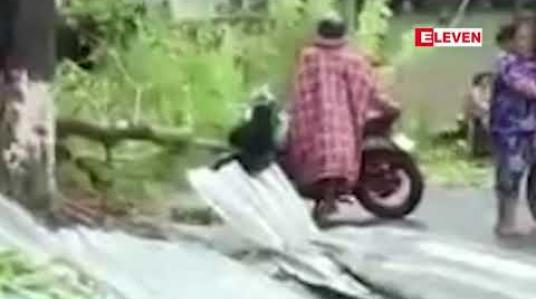 Embedded thumbnail for ဗီယက်နမ်တွင်မိုလေ့တိုင်ဖွန်းမုန်တိုင်းဝင်ရောက်ပြီးနောက်လူ၂၅ဦးကျော်သေဆုံးထားပြီးဒါဇင်နှင့်ချီပျောက်နေ