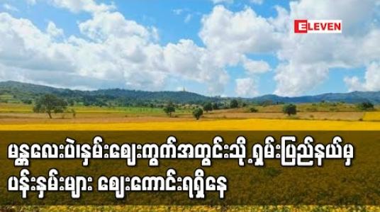 Embedded thumbnail for မန္တလေးပဲ၊နှမ်းဈေးကွက်အတွင်းသို့ ရှမ်းပြည်နယ် (မြောက်ပိုင်း)မှ ပန်းနှမ်းများ စတင်ဝင်ရောက်လာပြီး ဈေးကောင်းရရှိနေ