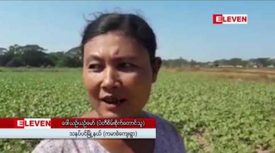 Embedded thumbnail for ရေကြီးမှုကြောင့် မိုးစပါးအထွက်နည်းခဲ့သောသနပ်ပင်နှင့်ကဝမြို့နယ်များတွင် သီတင်းကျွတ်မုန်တိုင်းမိုးကြောင့် ပဲတီစိမ်းလည်း အထွက်လျော့ကျနိုင်ဟုဆို 