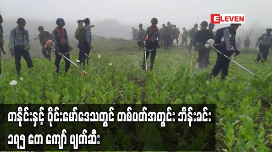 Embedded thumbnail for ကချင်ပြည်နယ်၊ တနိုင်းနှင့် ဝိုင်းမော်ဒေသတွင် တစ်ပတ်အတွင်း ဘိန်းခင်း ၁၇၅ ဧကကျော်ကို ဖျက်ဆီးနိုင်ခဲ့