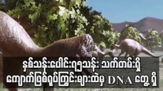 Embedded thumbnail for နှစ်ပေါင်း ၇၅ သန်းသက်တမ်းရှိ ကျောက်ဖြစ်ရုပ်ကြွင်းများထဲမှ DNA ကို သုတေသီများ ရှာဖွေတွေ့ရှိ 