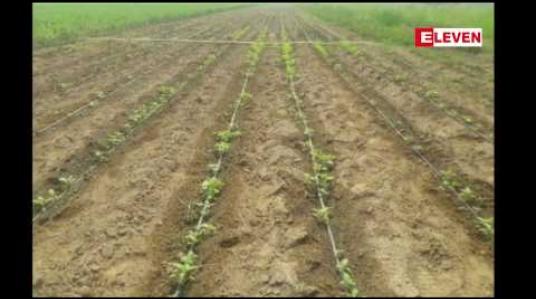 Embedded thumbnail for မန္တလေးတိုင်းအတွင်းရှိ တောင်သူများကို ဆောင်းသီနှံအတွက် စိုက်ပျိုးစရိတ်ကျပ်သန်းပေါင်း ၁၇၀၀၀ ကျော် ထုတ်ချေးပေးထား 