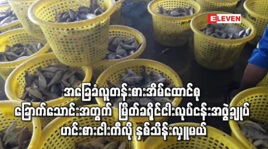 Embedded thumbnail for အခြေခံလူတန်းစားအိမ်ထောင်စု ခြောက်သောင်းအတွက် ဟင်းစားငါးကီလို နှစ်သိန်းကို မြိတ်ခရိုင်ငါးလုပ်ငန်းအဖွဲ့ချုပ် လှူဒါန်းမည်