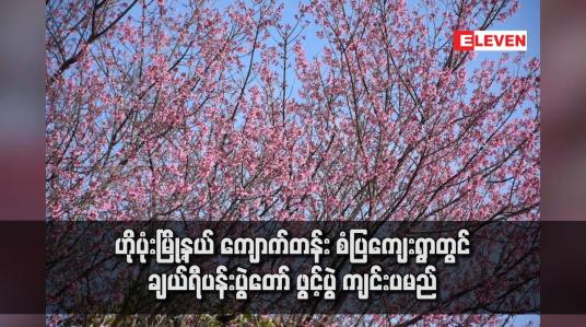 Embedded thumbnail for ဟိုပုံးမြို့နယ် ကျောက်တန်း စံပြကျေးရွာတွင် ချယ်ရီပန်းပွဲတော် ဖွင့်ပွဲ ကျင်းပမည်